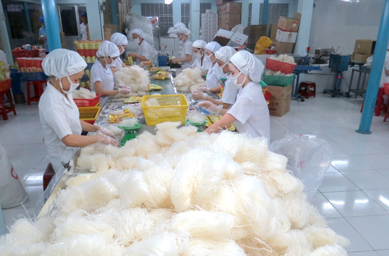 Công ty CP Thực phẩm Bích Chi - một trong những doanh nghiệp trên địa bàn tỉnh áp dụng có hiệu quả sản xuất sạch hơn
